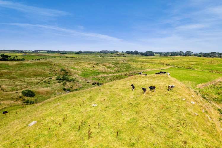 955 Opua Road Opunake_16