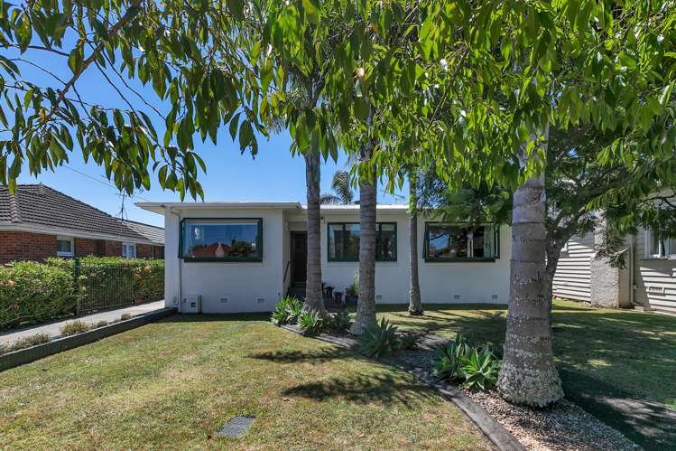 13 Hazelmere Road Sandringham_8