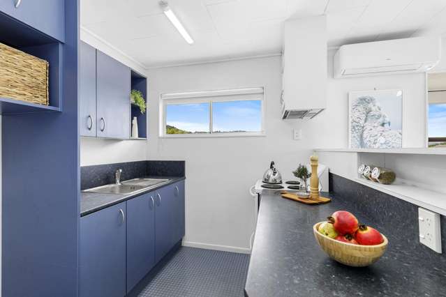 3E Manchester Street Petone_3