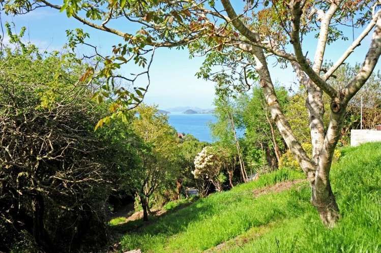 35b Kiwi Street Saint Leonards_6