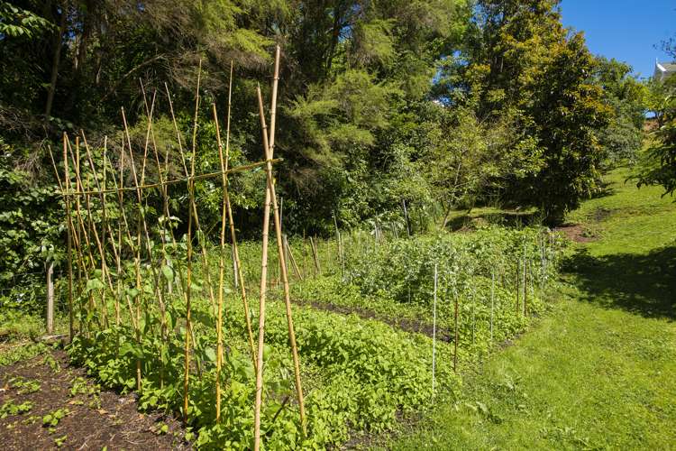 26 Hill Road Whataupoko_22