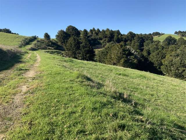 200 Central Road Mareretu_3