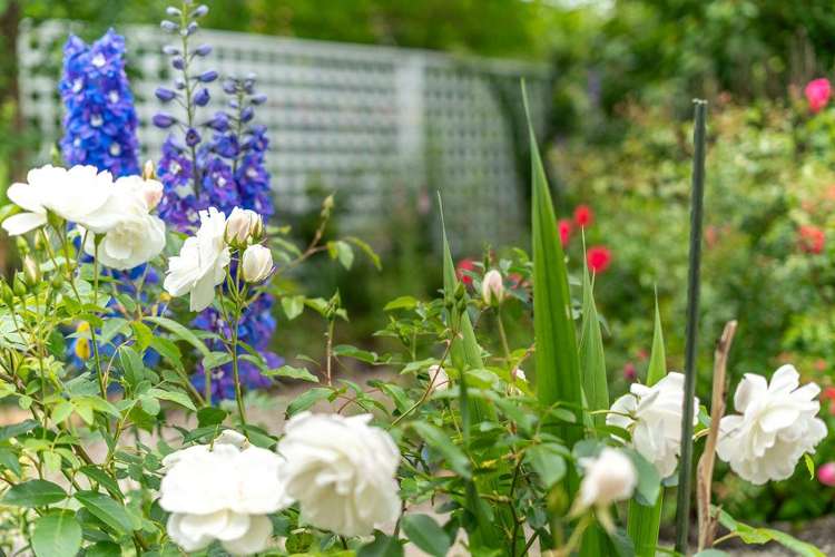 463 High Street South Carterton_24