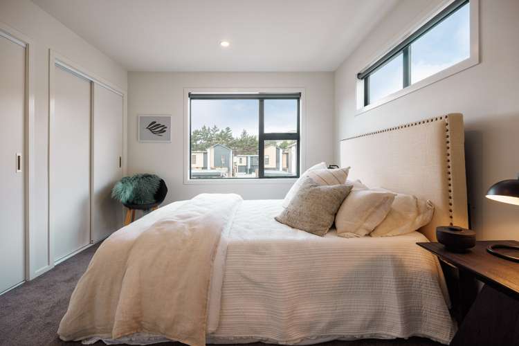 4 Te Ara O Papatahi Wainuiomata_5