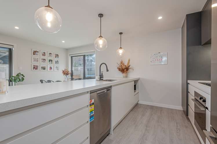 11 Monarch Drive Ashhurst_6