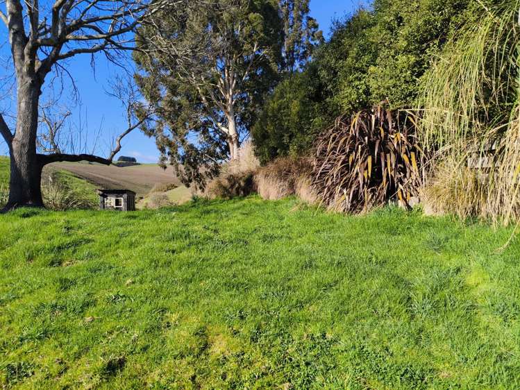 24c Thurso Street Lawrence_16