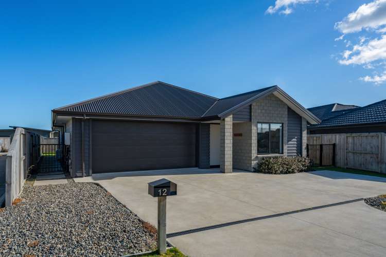 12 Tawhai Crescent Wharewaka_23