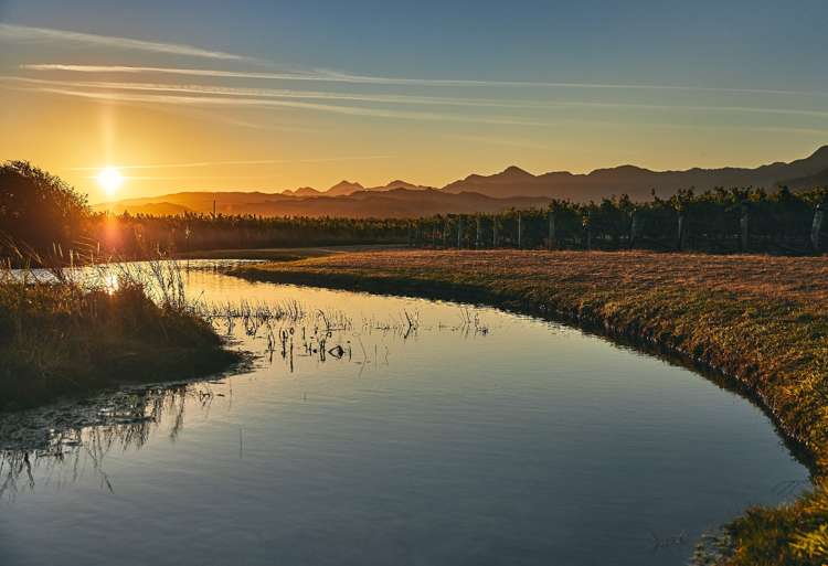 216 Bedford Road Renwick_21