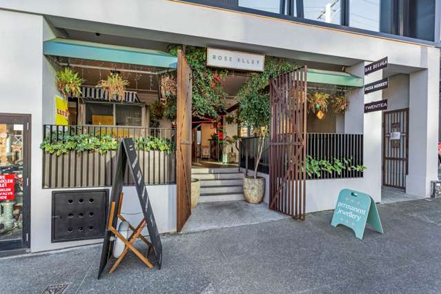 5 Rose Road Grey Lynn_2