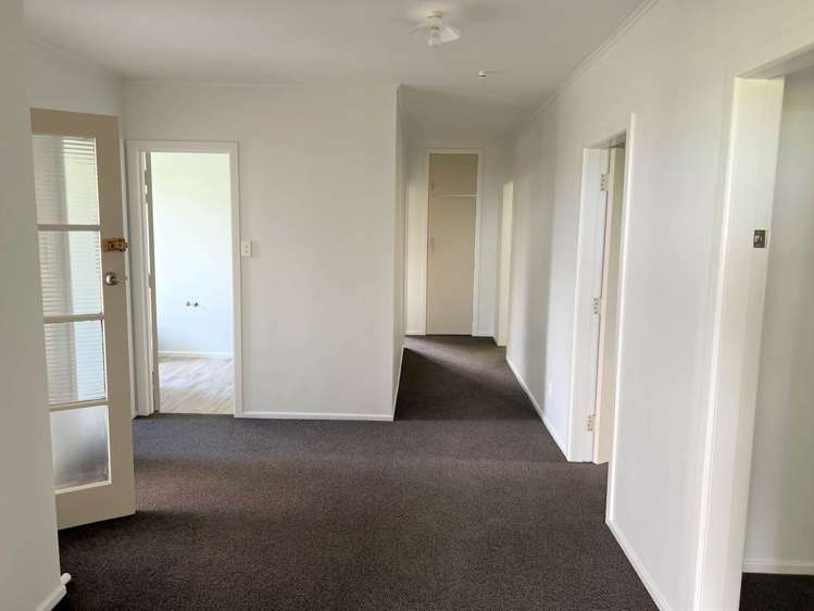 446 Kiwitahi Road Helensville_6