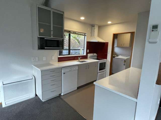 176b Selwyn Street Spreydon_1