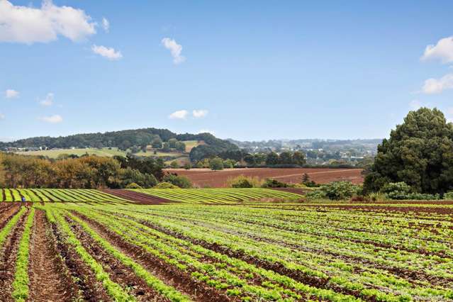 659 Harrisville Road Pukekohe East_1