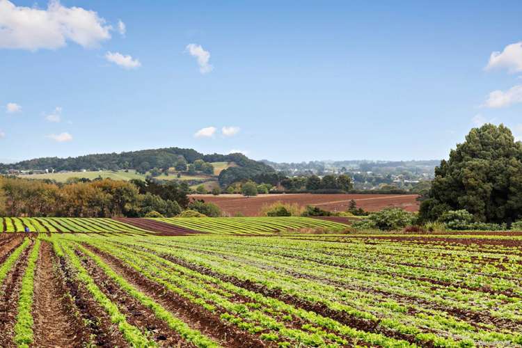 659 Harrisville Road Pukekohe East_1