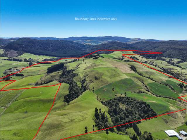 Sheep and Beef with Forestry Potential