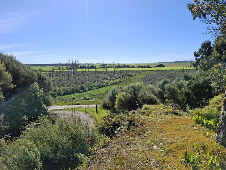 364 Virgin Flat Road Charleston_2