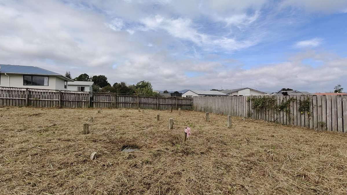 107 Allen Bell Drive_5