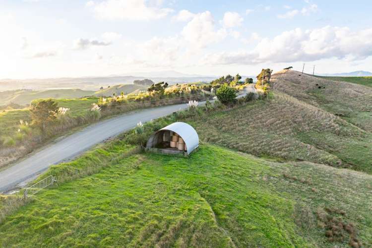 98 Rowland Road Dargaville Surrounds_7