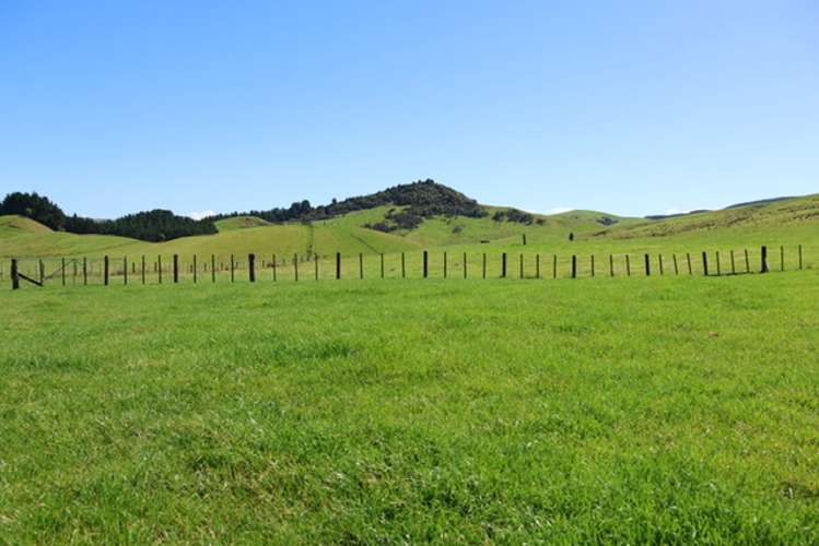 98 Millstream Road Dannevirke_19