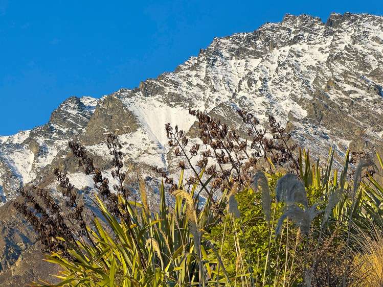 6A Kinross Lane Jacks Point_16