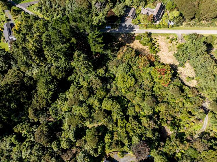 30 Ruru Avenue St Leonards_6