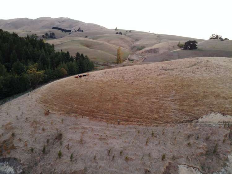 490 Bluff Rangitumau Road Rangitumau_11