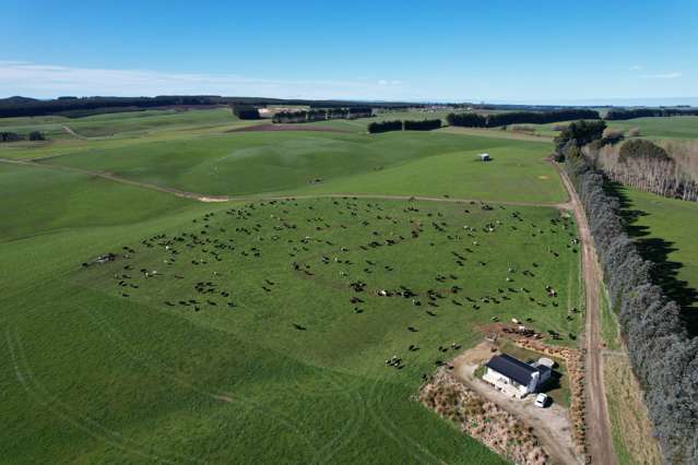 142 Endowment Road Winton Surrounds_2