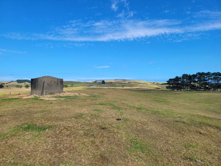 1008 Te Maire Road Te Kopuru_5