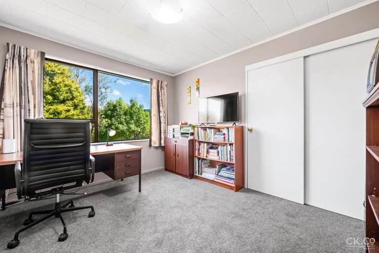 127 Gemstone Drive Birchville_12