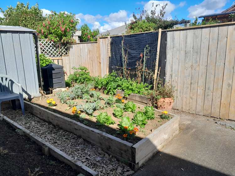 14b Cannon Drive Kerikeri_16