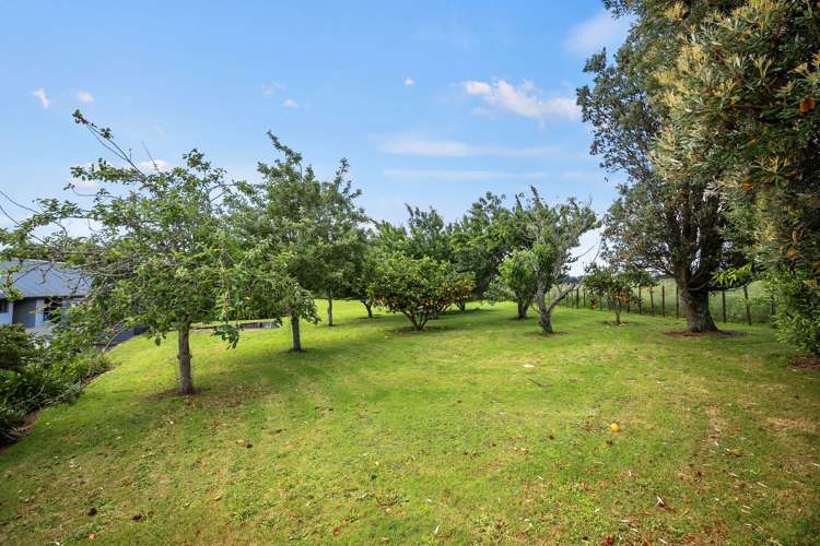 400 O'Shea Road Pirongia_23