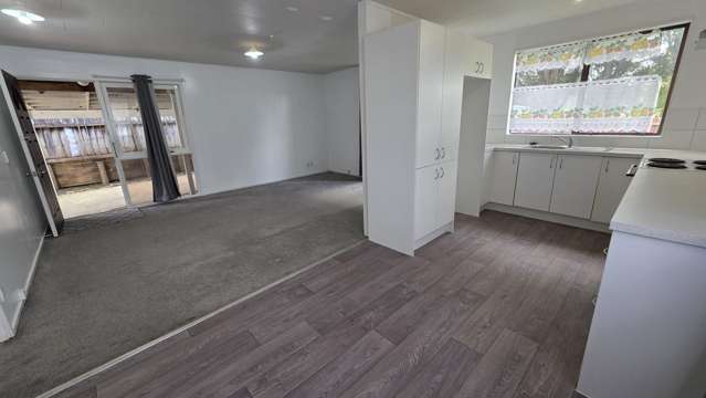 4C Hall Avenue Mangere_3