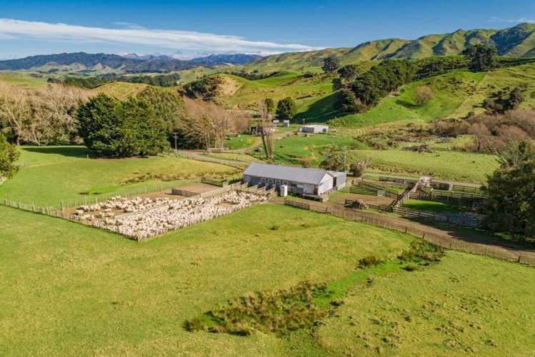 134 Bowen Road Eketahuna_17