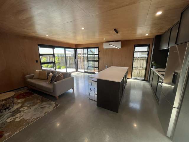 391A Carrington Street Vogeltown_1