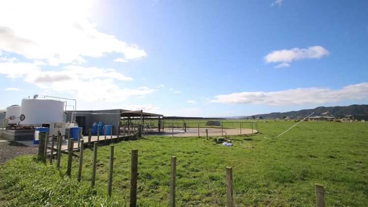 98 Mccracken Road Edgecumbe_12