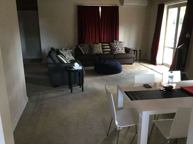 24B Walker Street Waihi_3