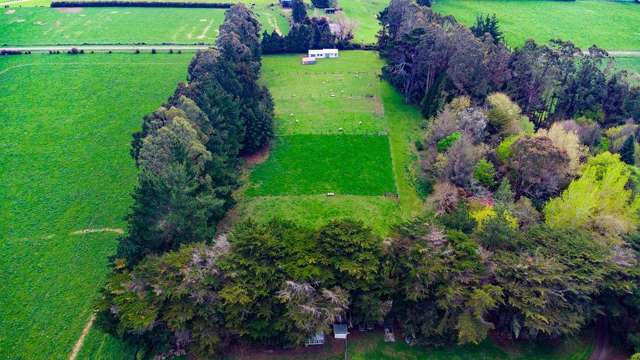 35 Third Line Norsewood_3