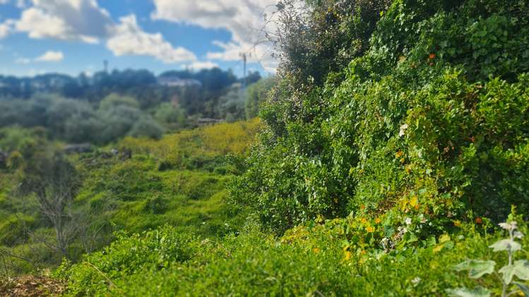 3 King Street Opunake_24