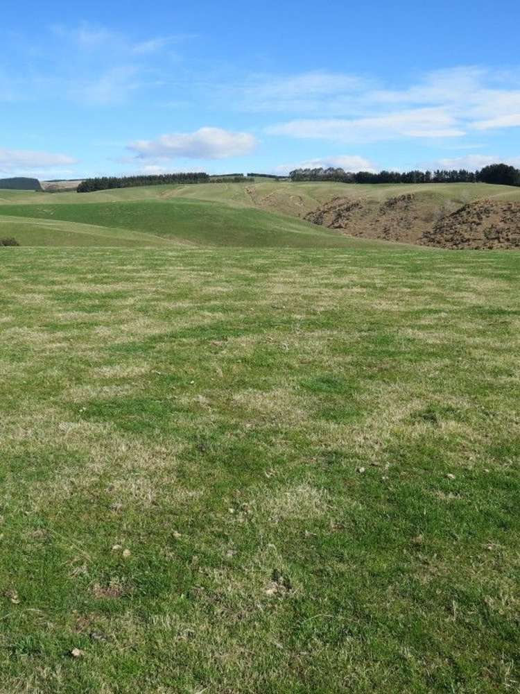 649 Kauru Hill Road Five Forks and Surrounds_8