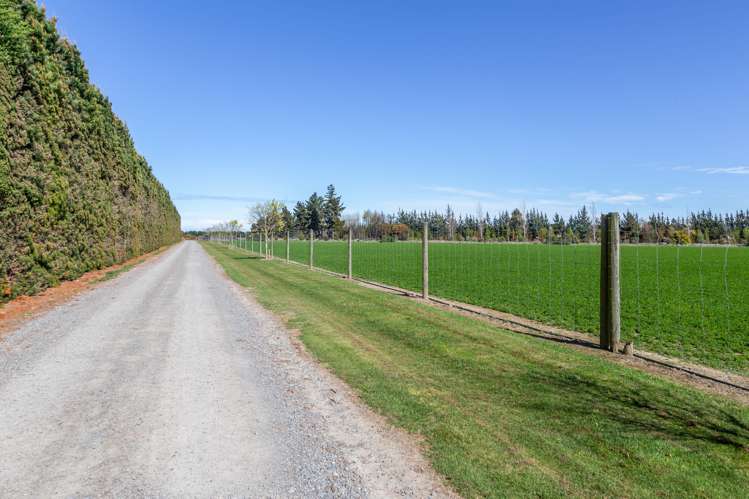 684 Telegraph Road Selwyn_32