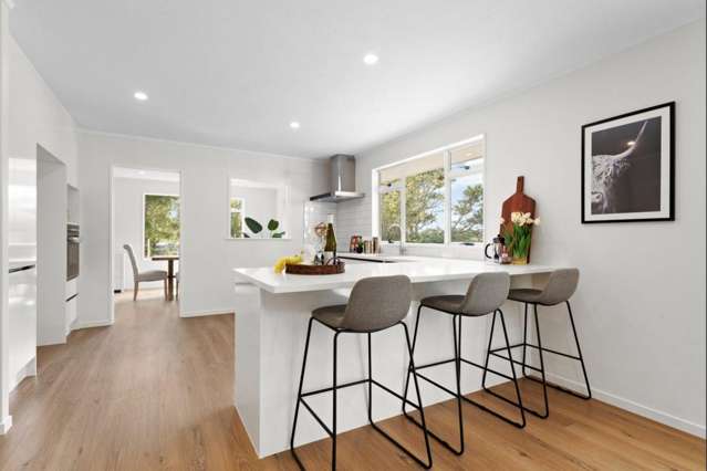 37 Green Road Dairy Flat_2