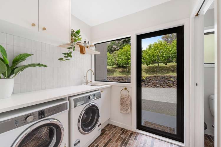 18 Ara-Kotinga Whitford_47