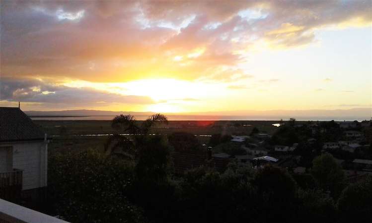 311 Marshall Crescent Thames_19