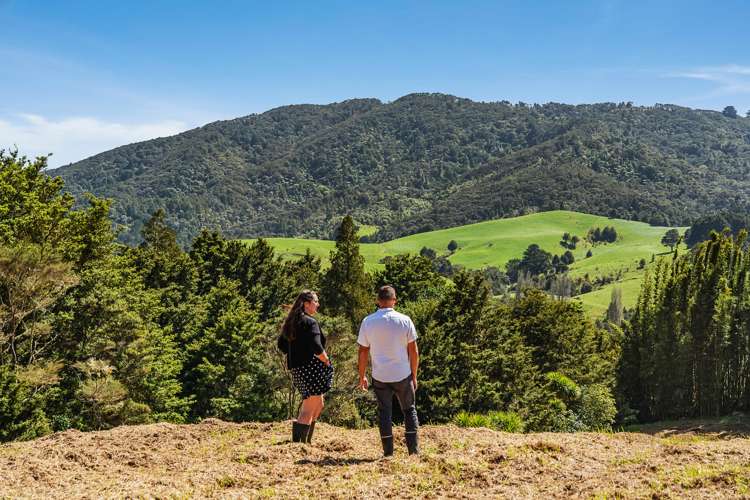 517 Helmsdale Road Waipu_13