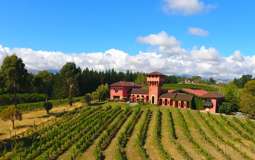 Stunning Marlborough vineyards hit the market