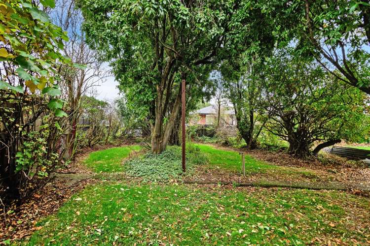 111 Panton Street Appleby_13