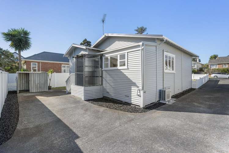 5 Jersey Avenue Mount Albert_3