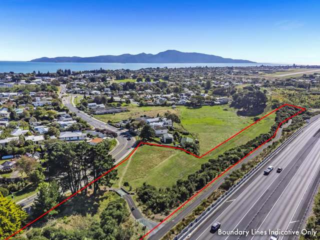 Opportunity in the Heart of Raumati