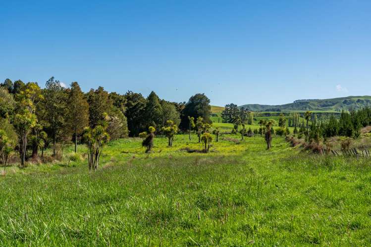 Porangahau Road Wallingford_9