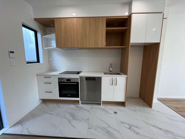 Elliot Street Papakura_1