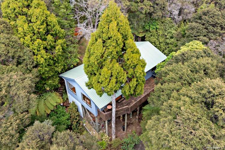 54 Opanuku Road Henderson Valley_14